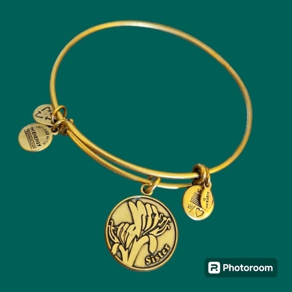 3/$30 ALEX & ANI Goldtone Sister Slide Charm Bracelet - Picture 1 of 6